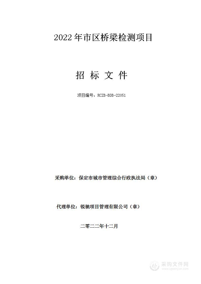 2022年市区桥梁检测项目