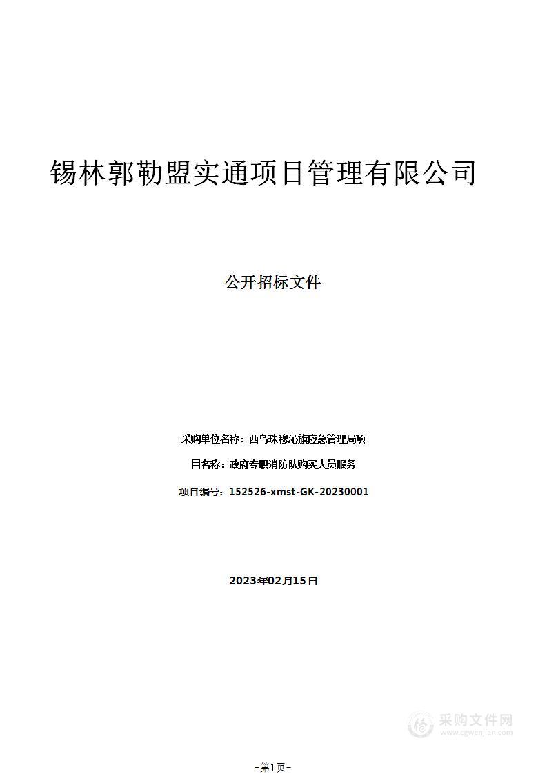 政府专职消防队购买人员服务