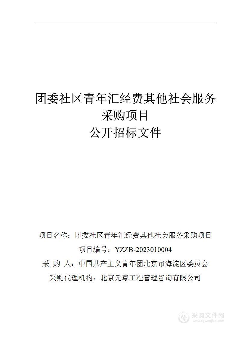 团委社区青年汇经费其他社会服务采购项目