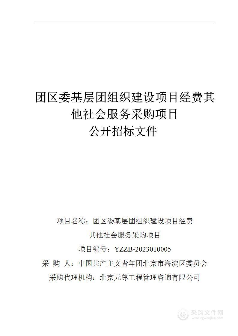 团区委基层团组织建设项目经费其他社会服务采购项目