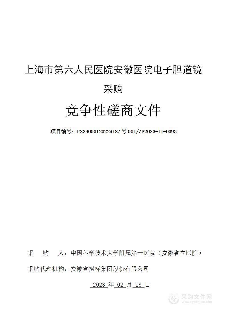 上海市第六人民医院安徽医院电子胆道镜采购项目