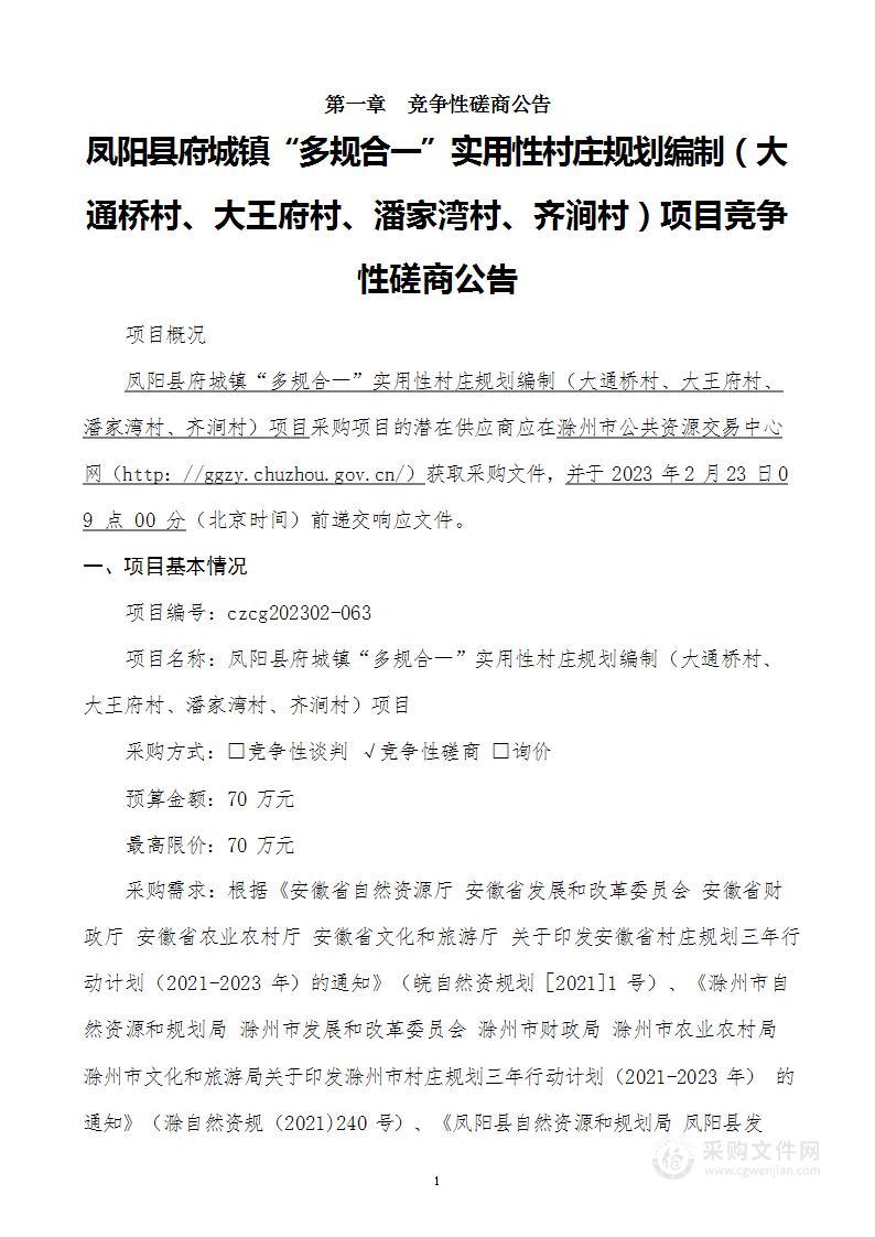 凤阳县府城镇“多规合一”实用性村庄规划编制（大通桥村、大王府村、潘家湾村、齐涧村）项目