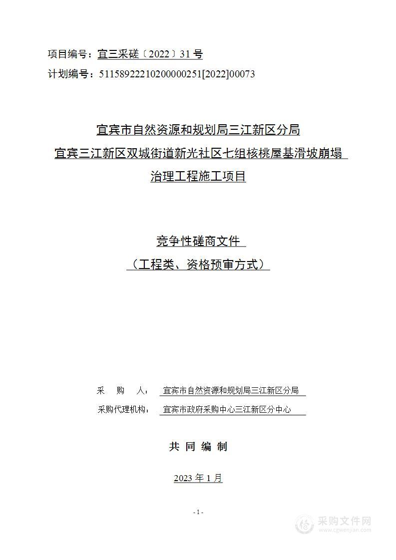 宜宾三江新区双城街道新光社区七组核桃屋基滑坡崩塌治理工程施工项目