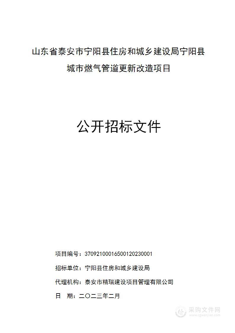 山东省泰安市宁阳县住房和城乡建设局宁阳县城市燃气管道更新改造项目