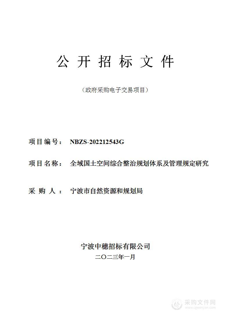 全域国土空间综合整治规划体系及管理规定研究