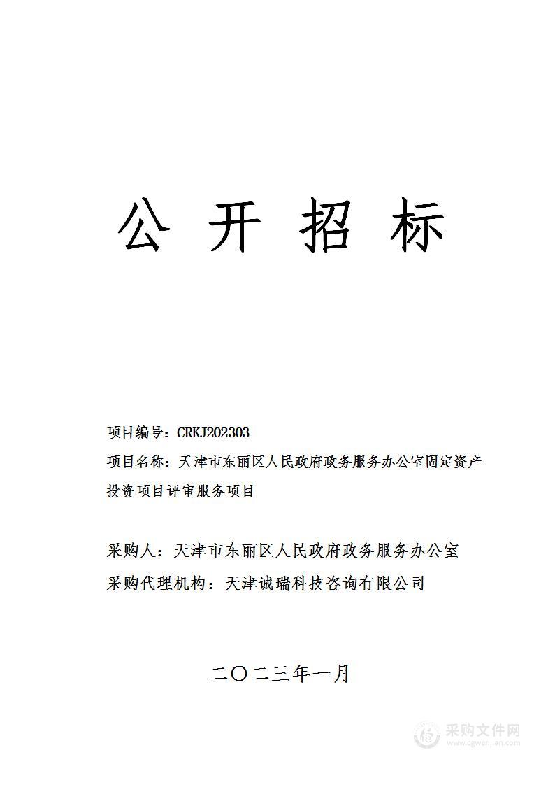 天津市东丽区人民政府政务服务办公室固定资产投资项目评审服务项目