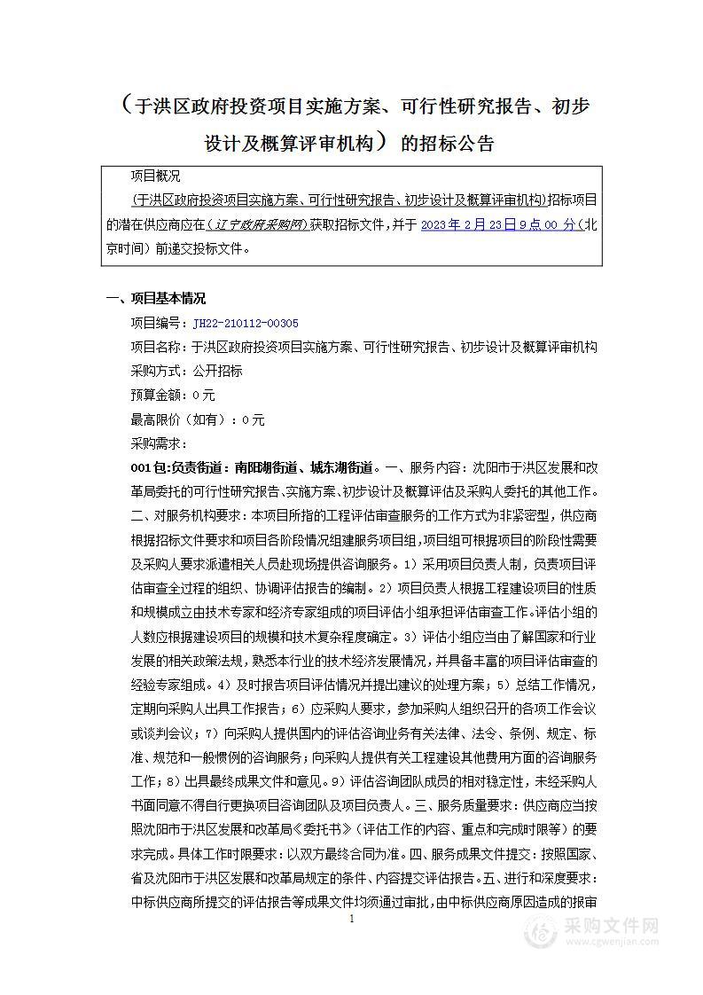 于洪区政府投资项目实施方案、可行性研究报告、初步设计及概算评审机构