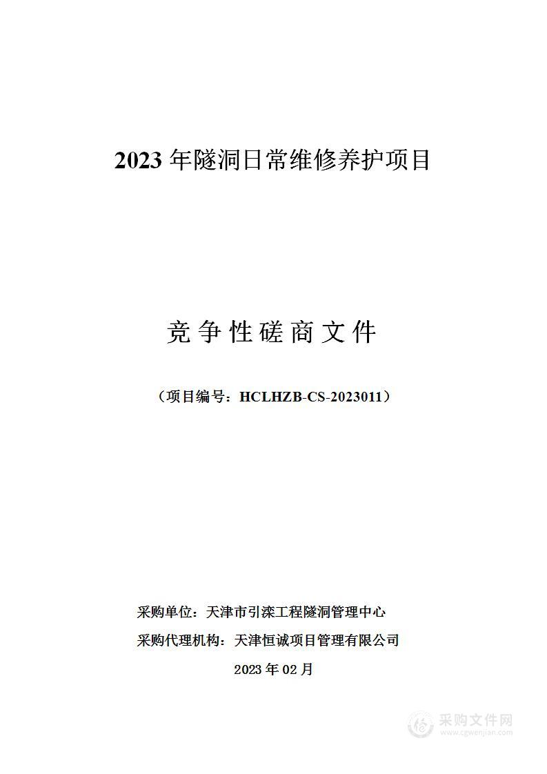 2023年隧洞日常维修养护项目