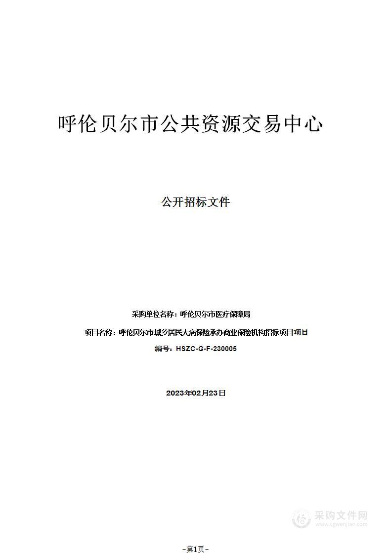 呼伦贝尔市城乡居民大病保险承办商业保险机构招标项目