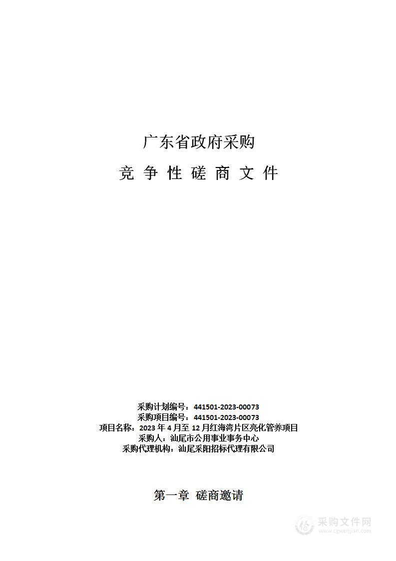 2023年4月至12月红海湾片区亮化管养项目