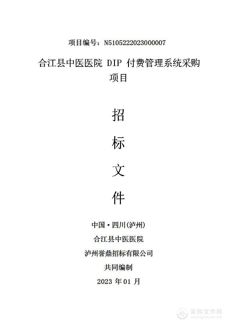 合江县中医医院DIP付费管理系统采购项目