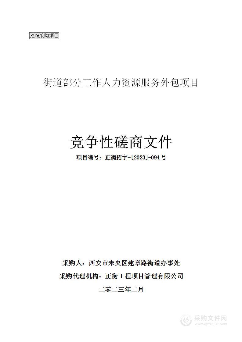 街道部分工作人力资源服务外包项目