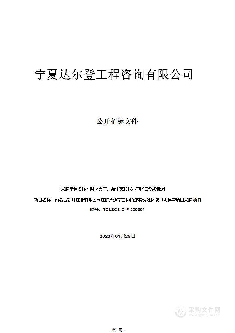 内蒙古新井煤业有限公司煤矿周边空白边角煤炭资源区块地质详查项目采购