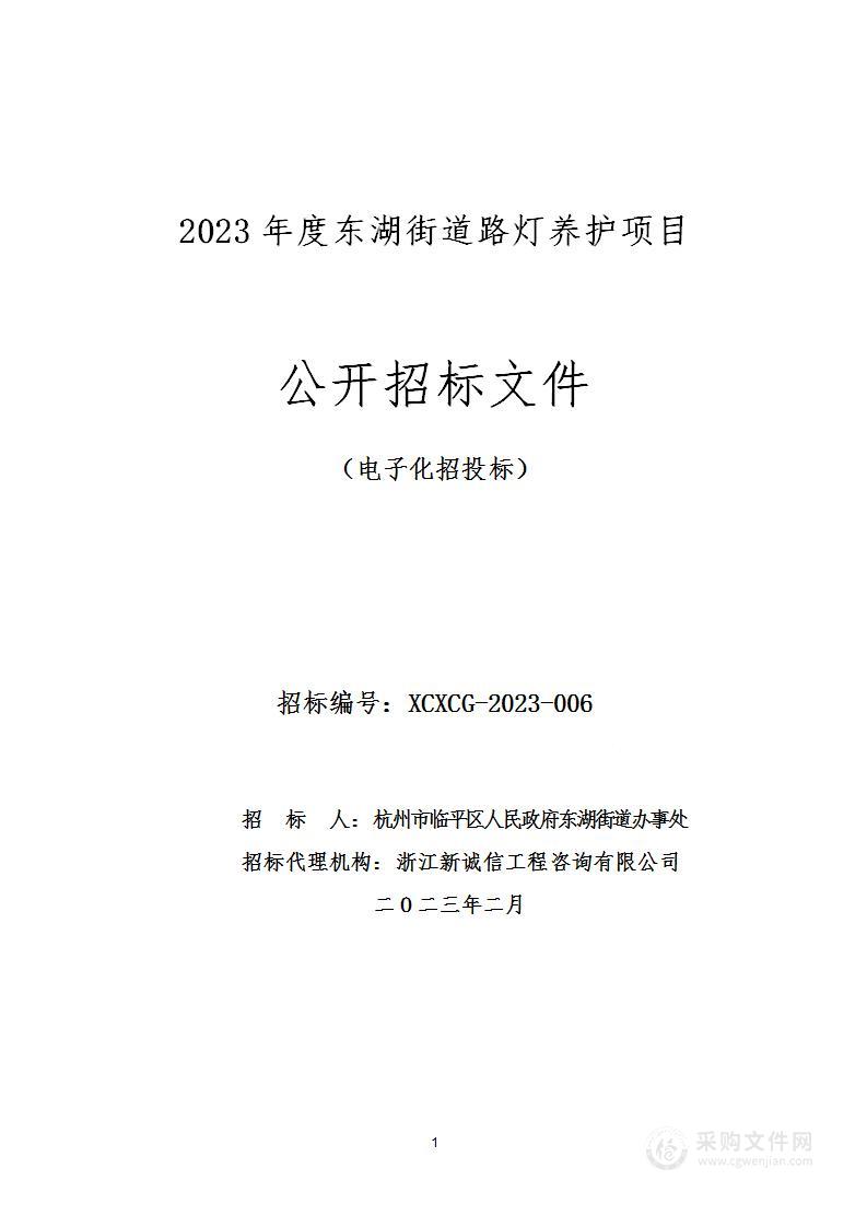 2023年度东湖街道路灯养护项目