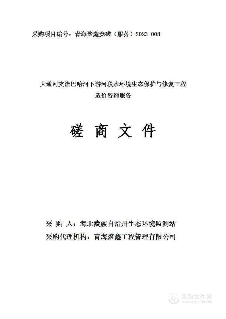 大通河支流巴哈河下游河段水环境生态保护与修复工程造价咨询服务