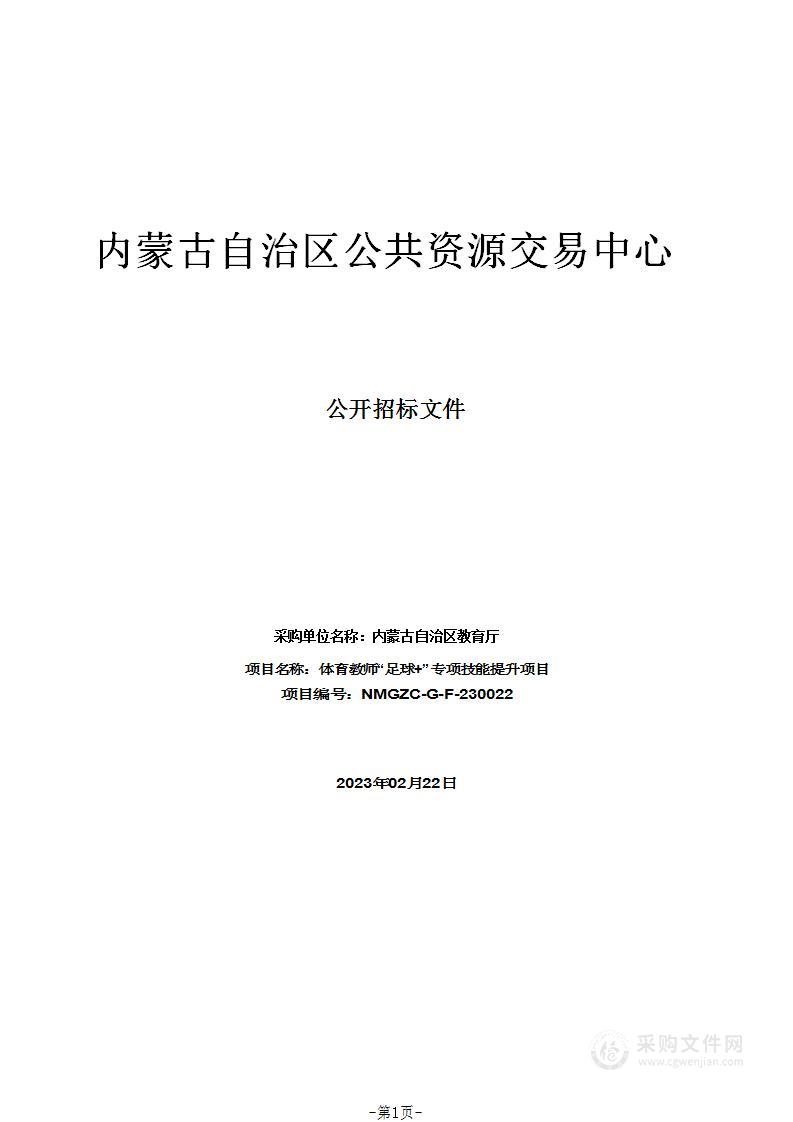 体育教师“足球+”专项技能提升项目