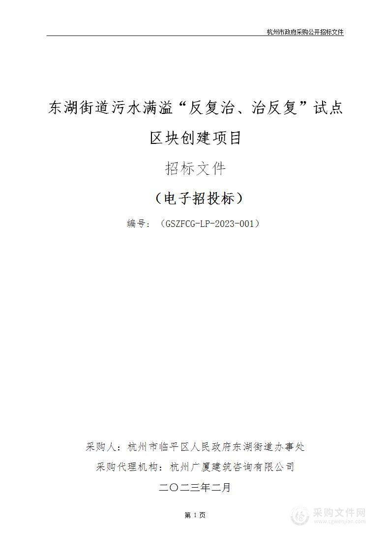 杭州市临平区人民政府东湖街道办事处东湖街道污水满溢“反复治、治反复”试点区块创建项目