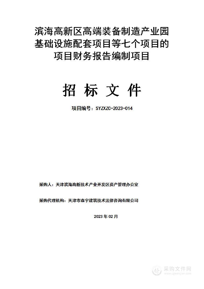 滨海高新区高端装备制造产业园基础设施配套项目等七个项目的项目财务报告编制项目