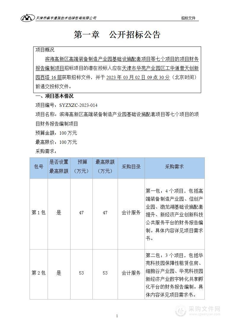 滨海高新区高端装备制造产业园基础设施配套项目等七个项目的项目财务报告编制项目