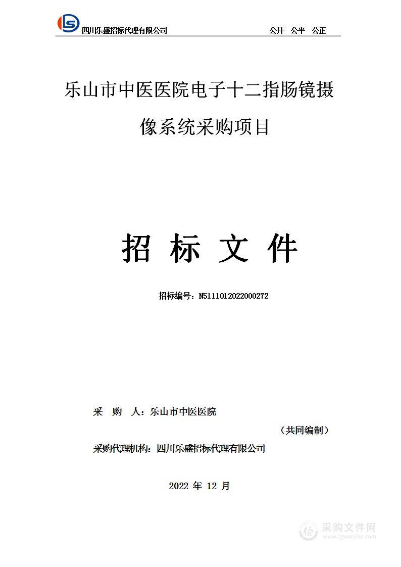 乐山市中医医院电子十二指肠镜摄像系统采购项目