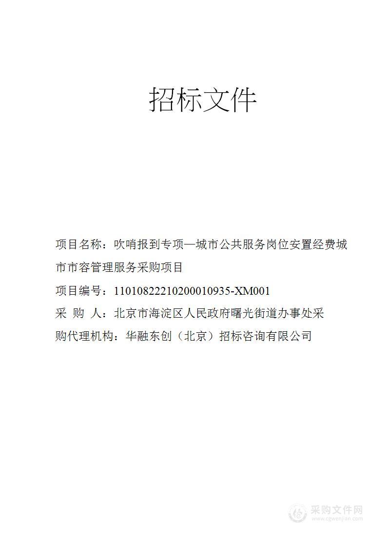 吹哨报到专项—城市公共服务岗位安置经费城市市容管理服务采购项目