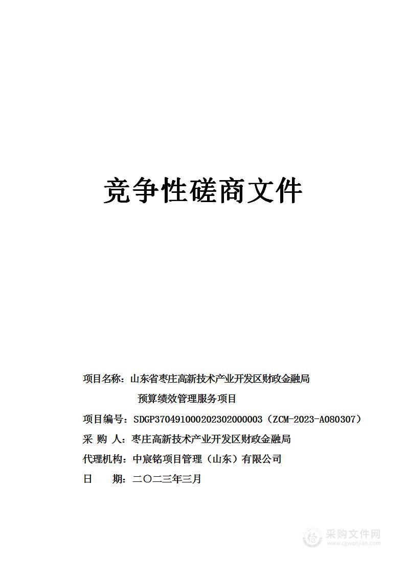 山东省枣庄高新技术产业开发区财政金融局预算绩效管理服务项目