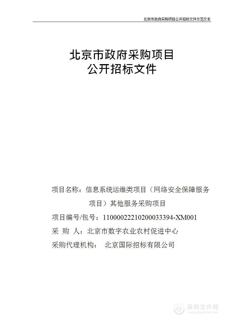 信息系统运维类项目（网络安全保障服务项目）其他服务采购项目