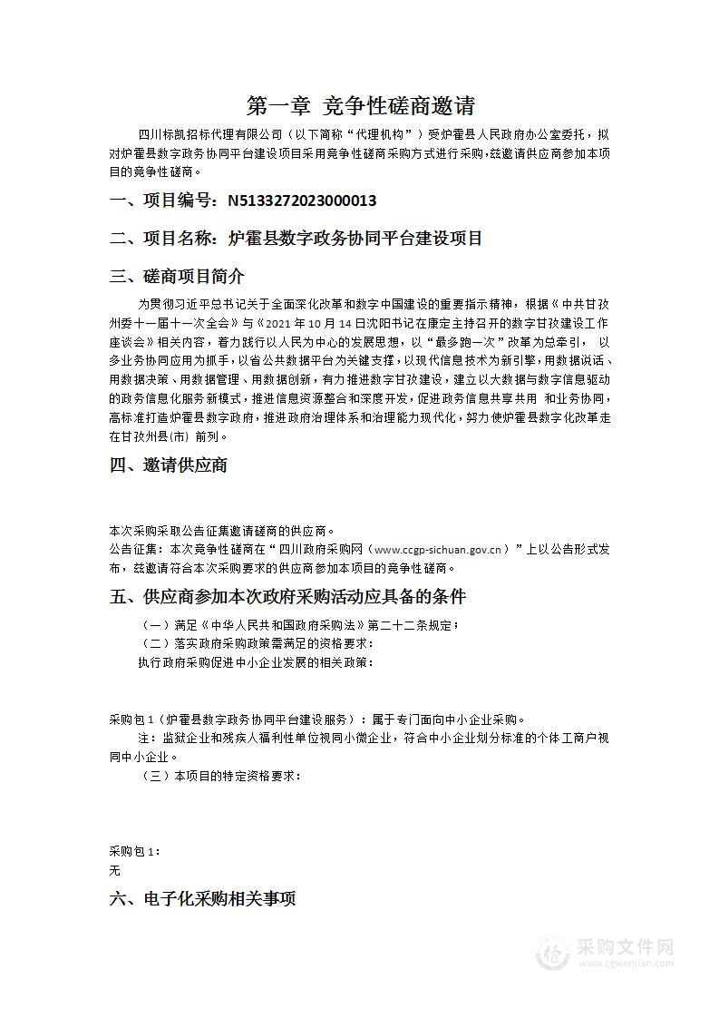 炉霍县数字政务协同平台建设项目