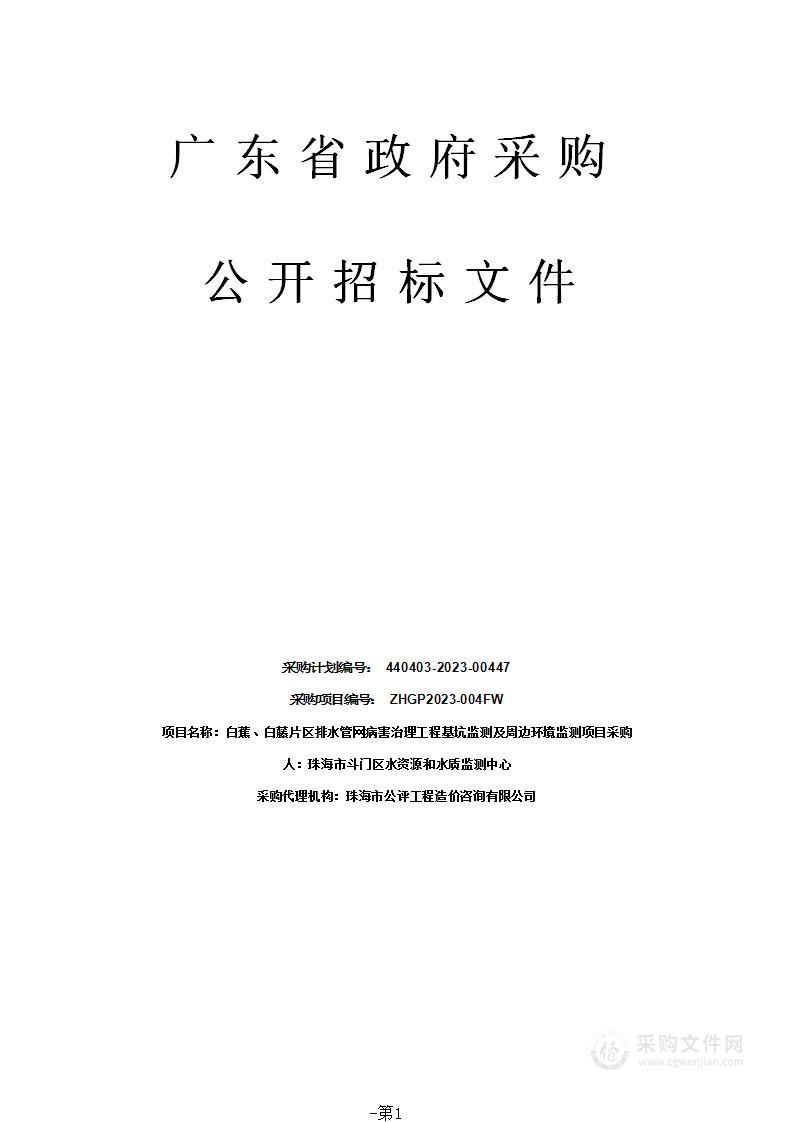 白蕉、白藤片区排水管网病害治理工程基坑监测及周边环境监测项目