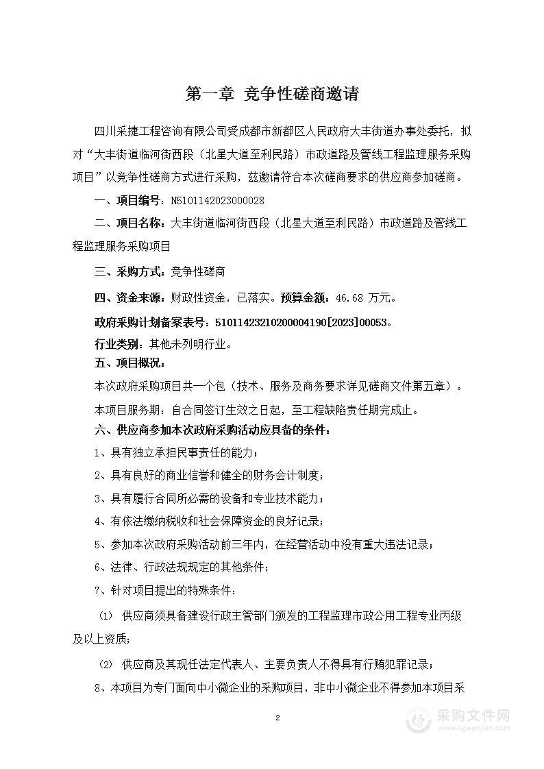 大丰街道临河街西段（北星大道至利民路）市政道路及管线工程监理服务采购项目