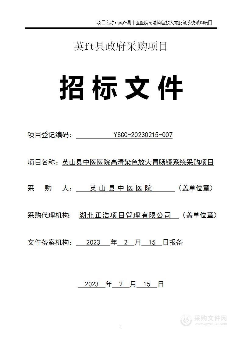 英山县中医医院高清染色放大胃肠镜系统采购项目