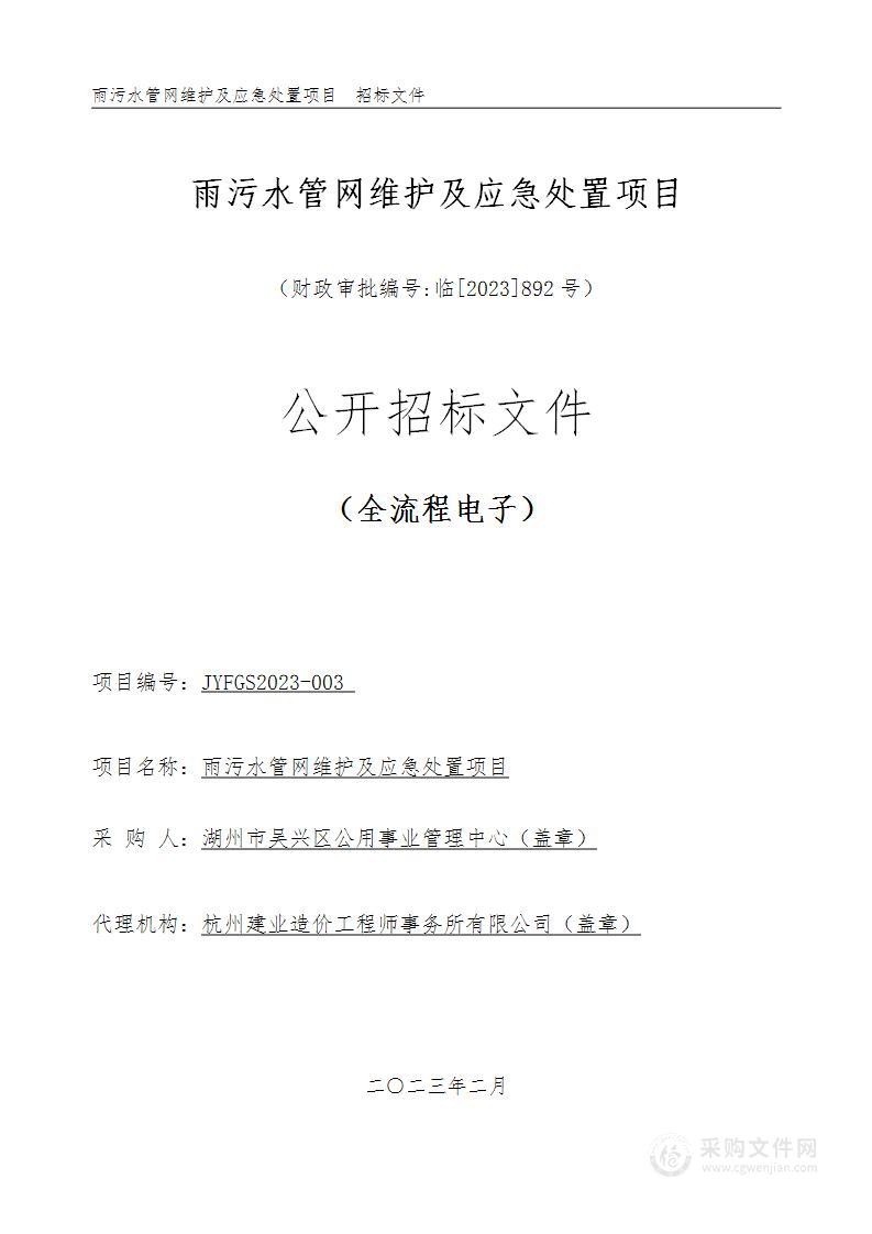 雨污水管网维护及应急处置项目