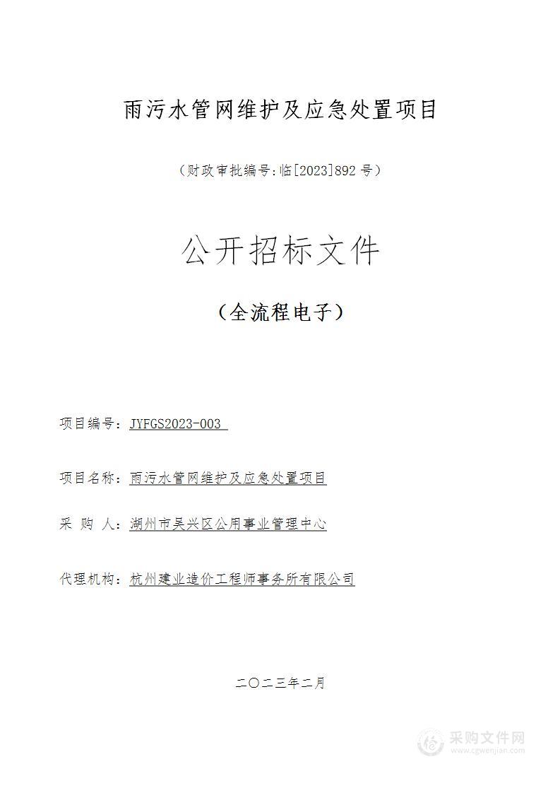 雨污水管网维护及应急处置项目