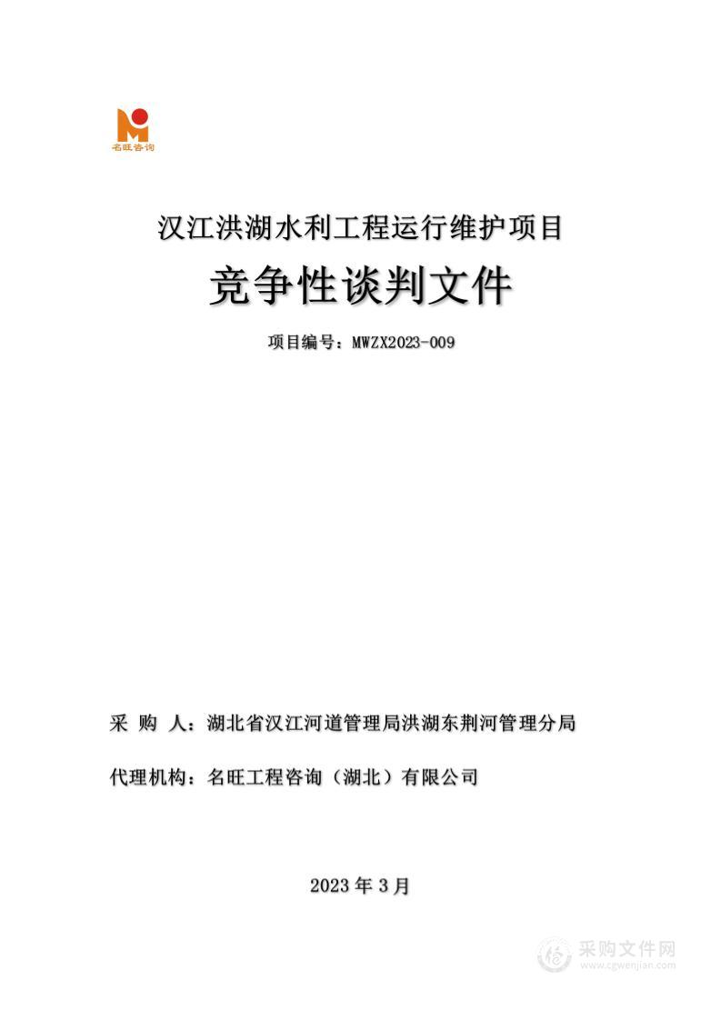 汉江洪湖水利工程运行维护项目