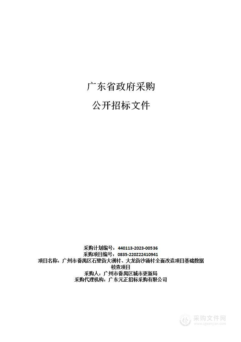 广州市番禺区石壁街大洲村、大龙街沙涌村全面改造项目基础数据核查项目