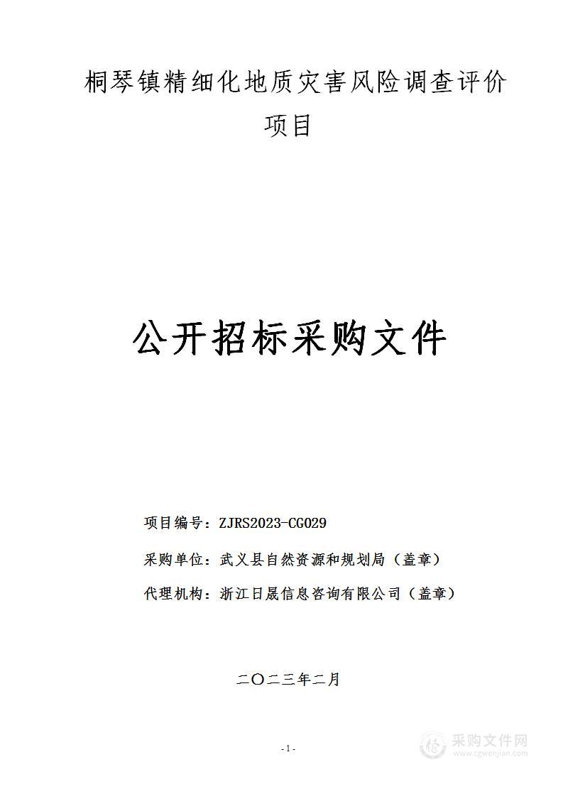 桐琴镇精细化地质灾害风险调查评价项目