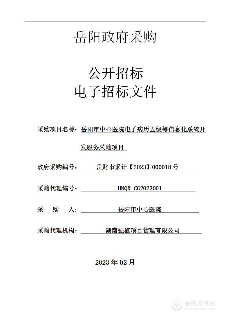 岳阳市中心医院电子病历五级等信息化系统开发服务采购项目