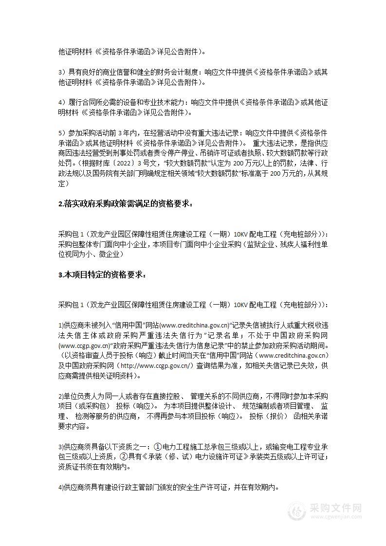 双龙产业园区保障性租赁住房建设工程（一期）10KV配电工程（充电桩部分）