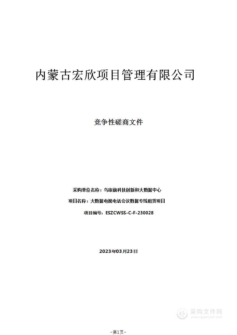 大数据电视电话会议数据专线租赁项目