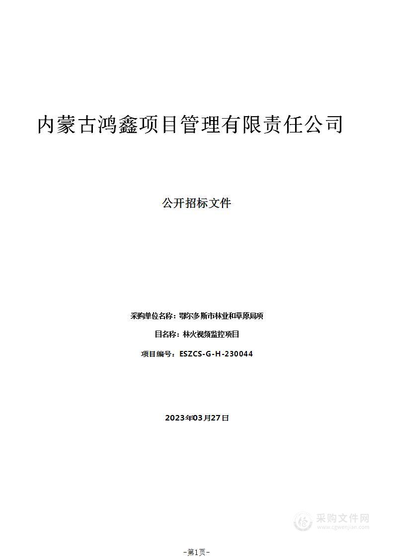 林火视频监控项目