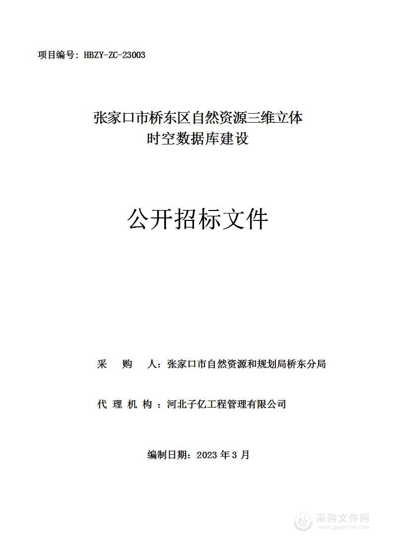 张家口市桥东区自然资源三维立体时空数据库建设