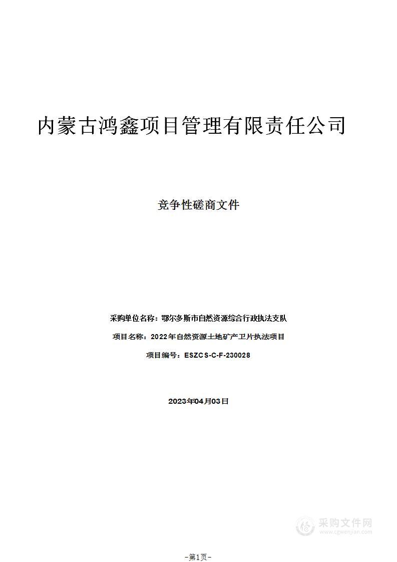 2022年自然资源土地矿产卫片执法项目