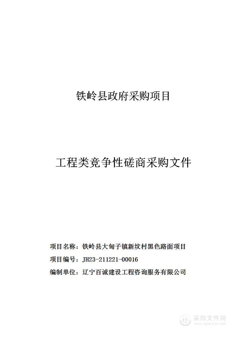 铁岭县大甸子镇新坟村黑色路面项目