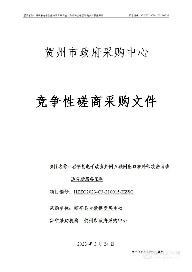 昭平县电子政务外网互联网出口和外部攻击面渗透分析服务采购