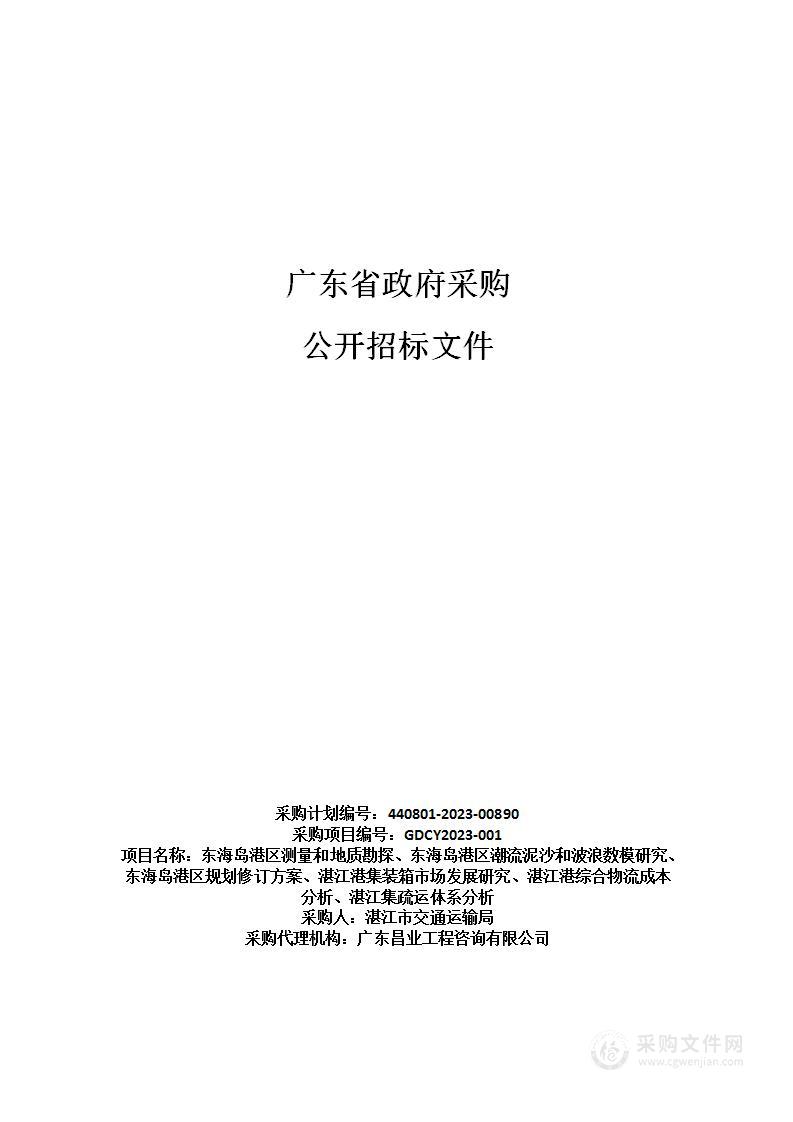 东海岛港区测量和地质勘探、东海岛港区潮流泥沙和波浪数模研究、东海岛港区规划修订方案、湛江港集装箱市场发展研究、湛江港综合物流成本分析、湛江集疏运体系分析