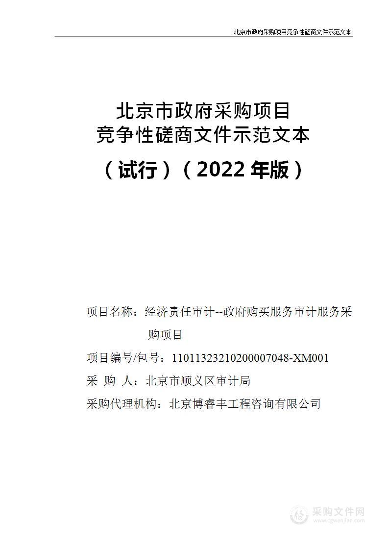 经济责任审计--政府购买服务审计服务采购项目