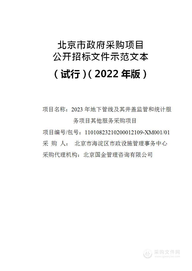 2023年地下管线及其井盖监管和统计服务项目其他服务采购项目