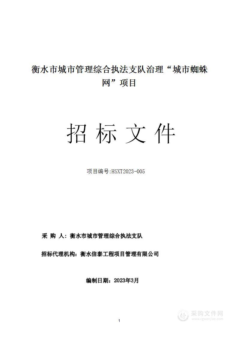 衡水市城市管理综合执法支队治理“城市蜘蛛网”项目