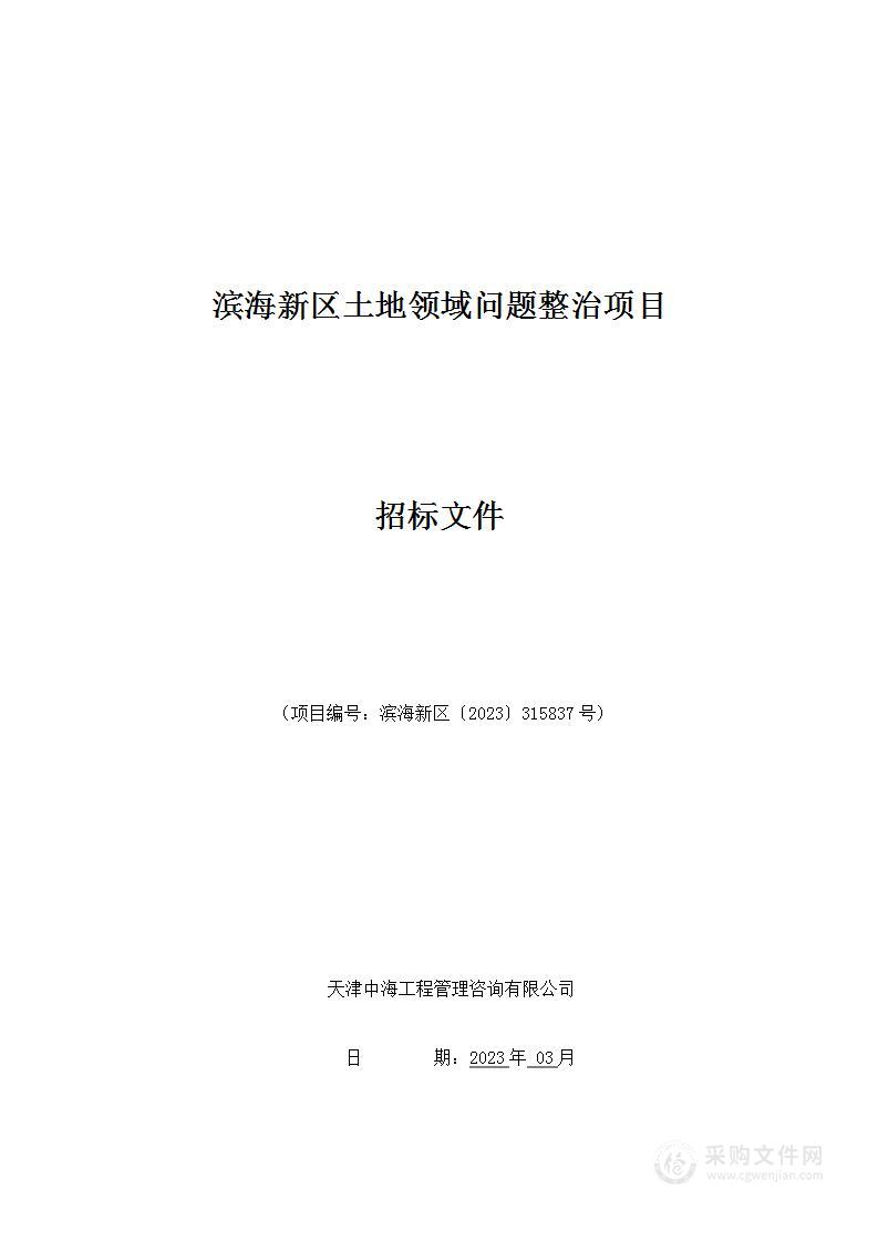 滨海新区土地领域问题整治项目