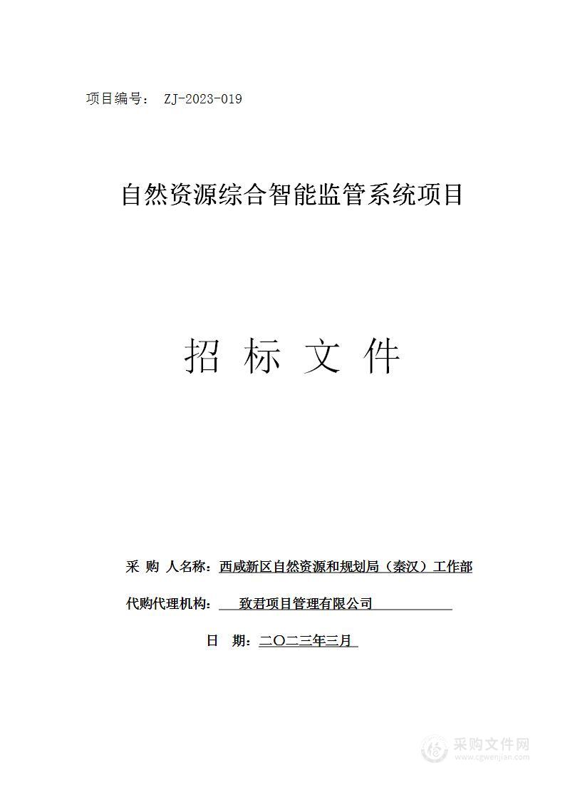 自然资源综合智能监管系统项目